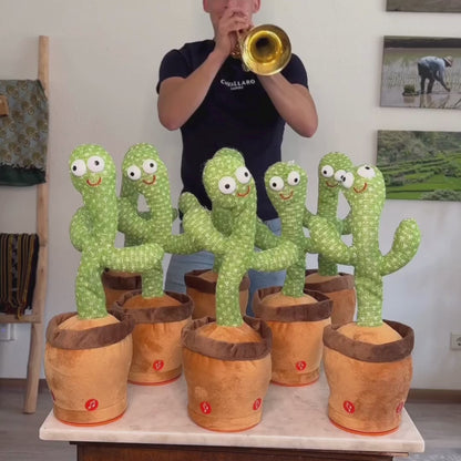 Cactus Bailarín